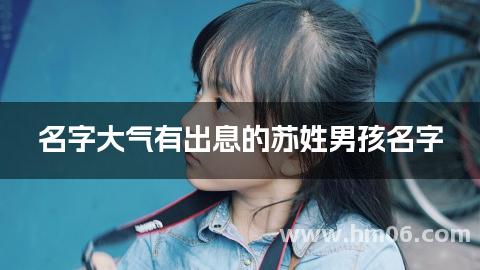 名字大气有出息的苏姓男孩名字