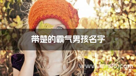 带楚的霸气男孩名字