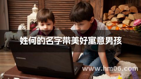 姓何的名字带美好寓意男孩