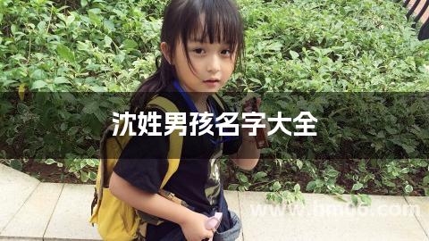 沈姓男孩名字大全