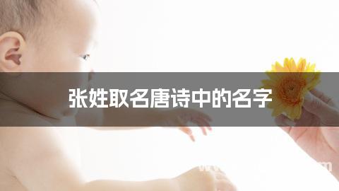 张姓取名唐诗中的名字