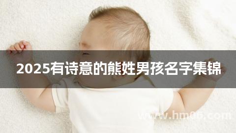 2025有诗意的熊姓男孩名字集锦
