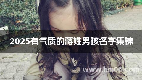 2025有气质的蒋姓男孩名字集锦