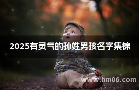 2025有灵气的孙姓男孩名字集锦