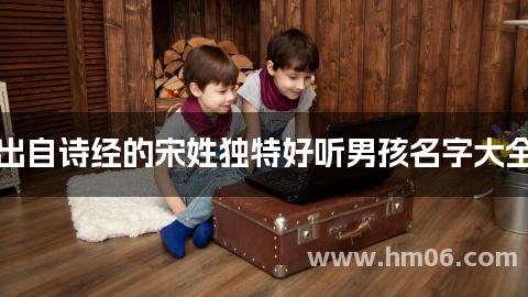 出自诗经的宋姓独特好听男孩名字大全