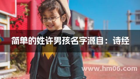 简单的姓许男孩名字源自：诗经