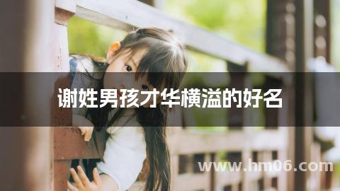 谢姓男孩才华横溢的好名