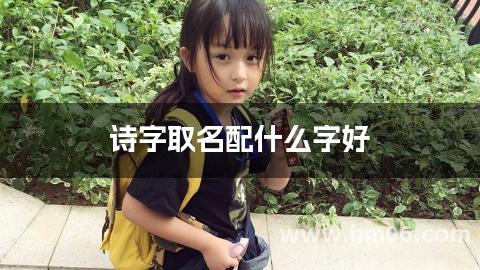 诗字取名配什么字好