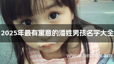 2025年最有寓意的潘姓男孩名字大全