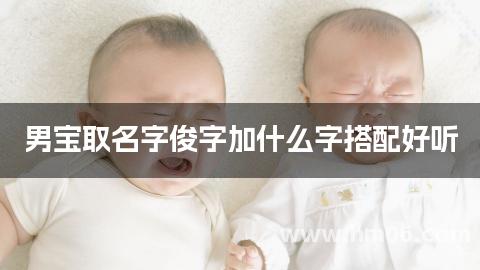 男宝取名字俊字加什么字搭配好听