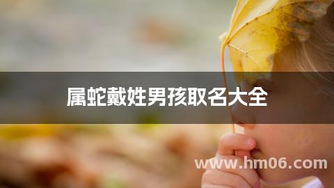 属蛇戴姓男孩取名大全