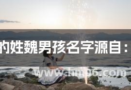 简单的姓魏男孩名字源自:唐诗