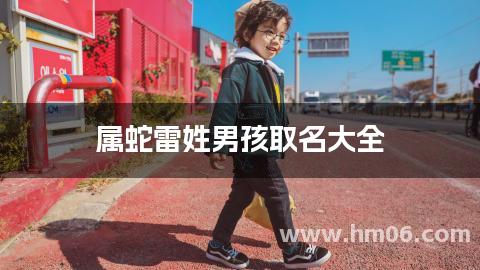 属蛇雷姓男孩取名大全