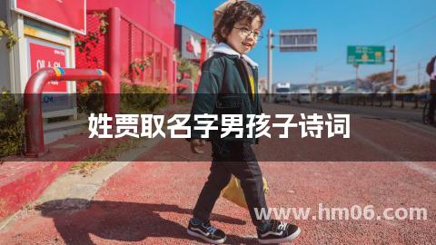 姓贾取名字男孩子诗词