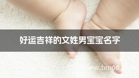 好运吉祥的文姓男宝宝名字