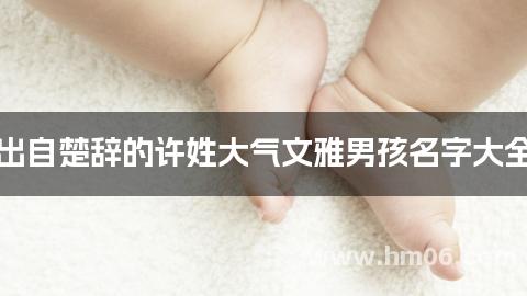 出自楚辞的许姓大气文雅男孩名字大全