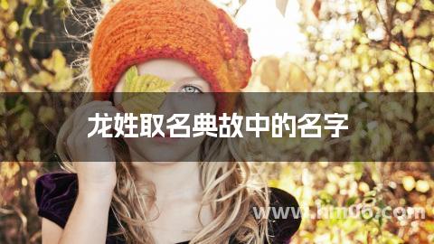 龙姓取名典故中的名字