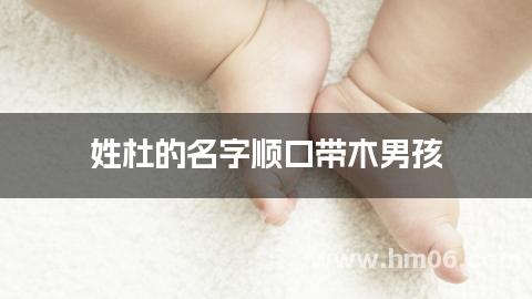 姓杜的名字顺口带木男孩