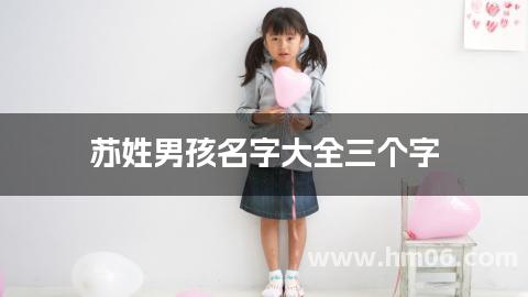苏姓男孩名字大全三个字