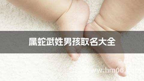 属蛇武姓男孩取名大全