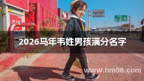 2026马年韦姓男孩满分名字