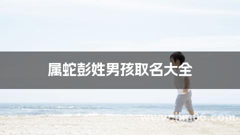 属蛇彭姓男孩取名大全