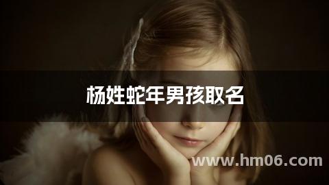 杨姓蛇年男孩取名