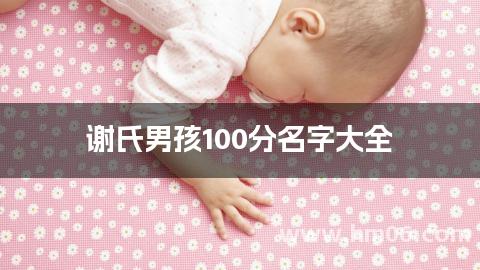 谢氏男孩100分名字大全