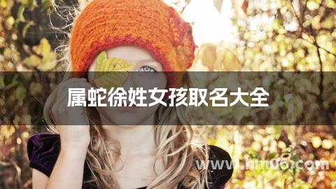 属蛇徐姓女孩取名大全