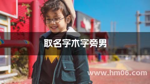 取名字木字旁男