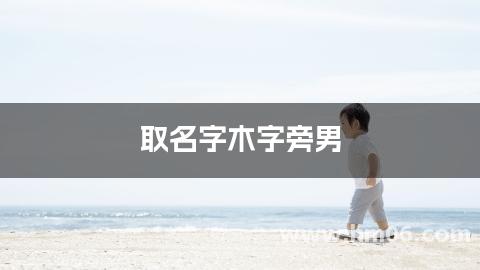 取名字木字旁男