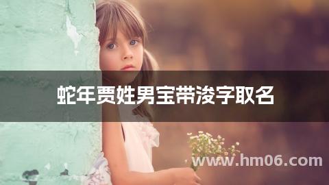 蛇年贾姓男宝带浚字取名