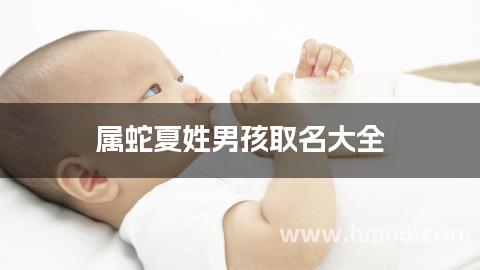 属蛇夏姓男孩取名大全
