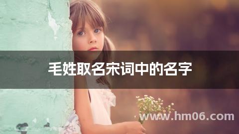 毛姓取名宋词中的名字