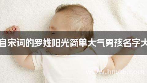 出自宋词的罗姓阳光简单大气男孩名字大全