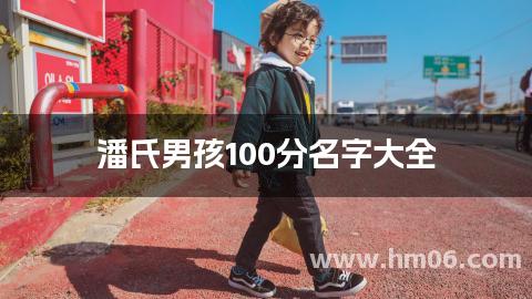 潘氏男孩100分名字大全