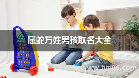 属蛇万姓男孩取名大全