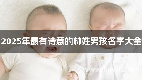 2025年最有诗意的林姓男孩名字大全