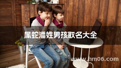 属蛇潘姓男孩取名大全