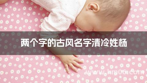 两个字的古风名字清冷姓杨
