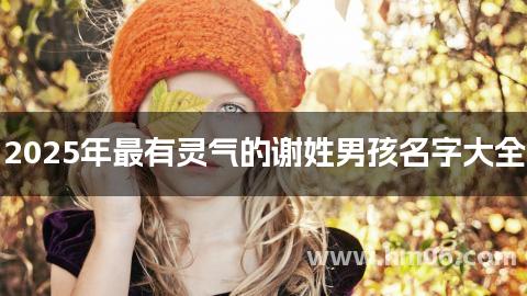 2025年最有灵气的谢姓男孩名字大全