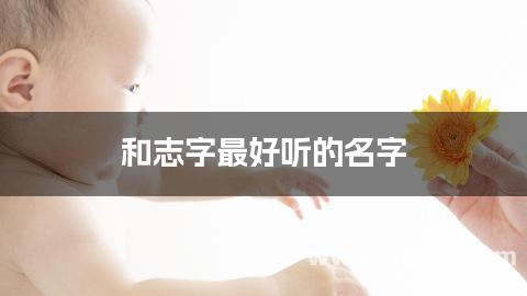 和志字最好听的名字