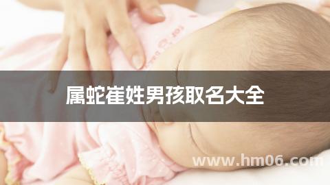 属蛇崔姓男孩取名大全