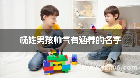 杨姓男孩帅气有涵养的名字