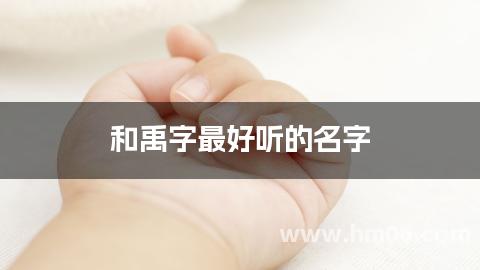 和禹字最好听的名字