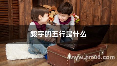毅字的五行是什么