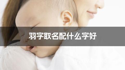 羽字取名配什么字好