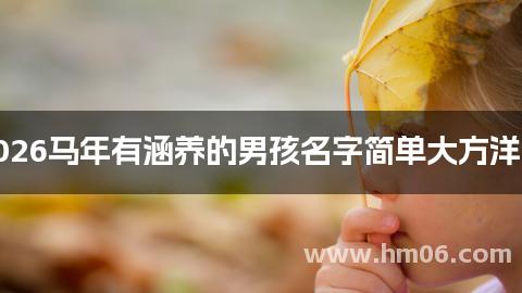 2026马年有涵养的男孩名字简单大方洋气