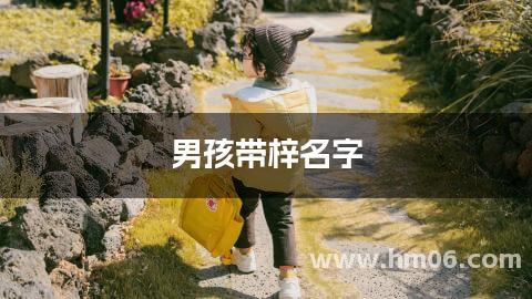 男孩带梓名字