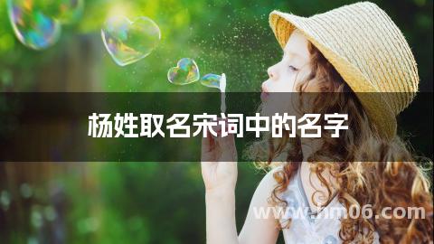 杨姓取名宋词中的名字